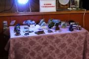 IMG_1561.JPG