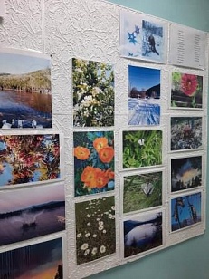 «Мой любимый край» - Авторская фотовыставка Томшиной Ирины