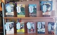"Романтические истории для юных дам" - Книжная выставка