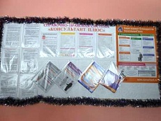 Справочно-правовая система «Консультант Плюс»