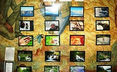 Фотовыставка «Красота родного края»