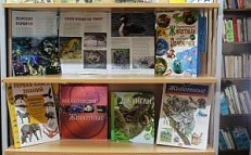 "Этот загадочный животный мир" - Книжная выставка