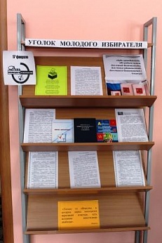 «Уголок молодого избирателя» Информационная витрина