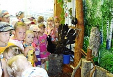 Дикий мир тайги