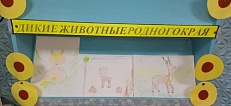 "Животные родного края" - Выставка рисунков