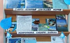 «Её величество – вода» Книжная выставка