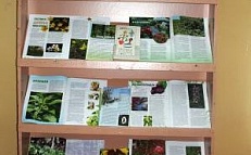 «Лекарственные травы Сибири»