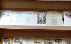 "Певец добра и света" - Книжная выставка