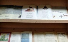 Благодарю, родной полночный край! - Книжная выставка